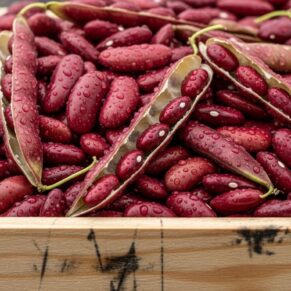 Kidney beans