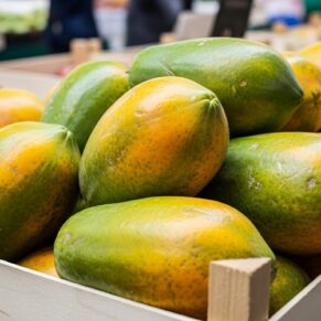 papaya