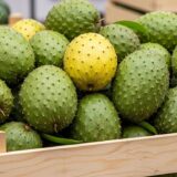 soursop