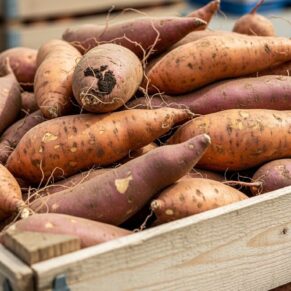 sweet potato